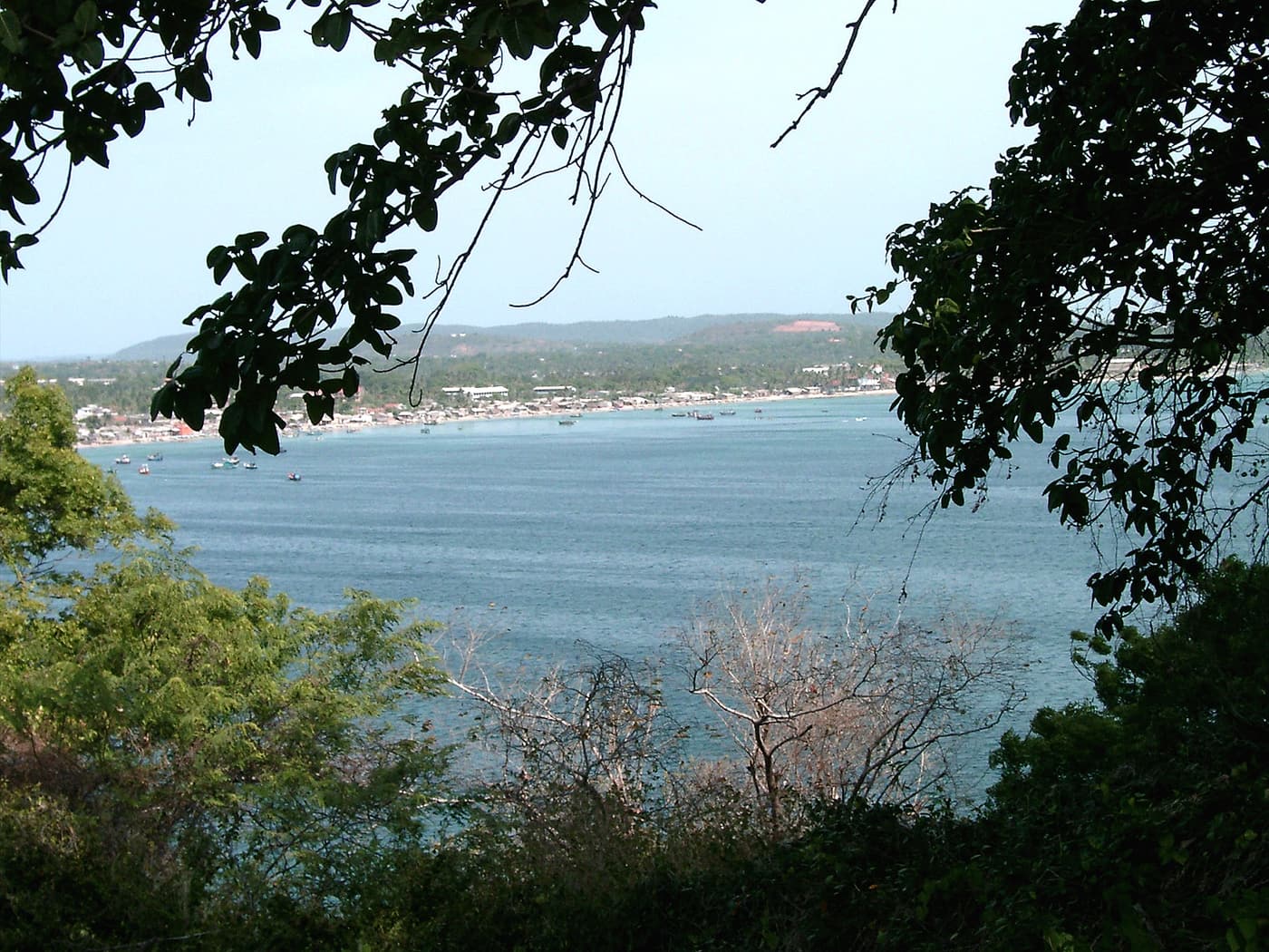 The bay at Trincomalee seen through the trees